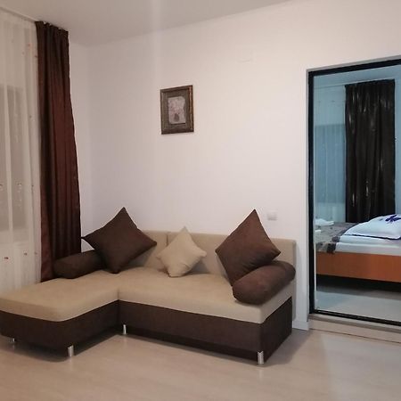 Pensiunea Tora Vatra Dornei Bagian luar foto