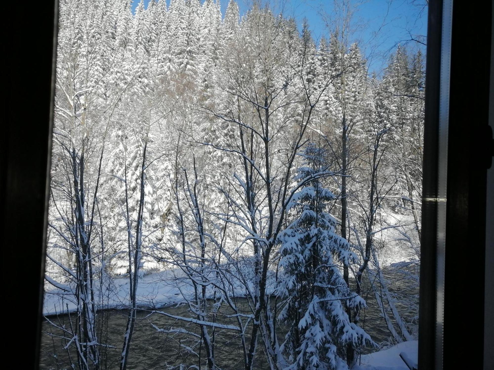 Pensiunea Tora Vatra Dornei Bagian luar foto