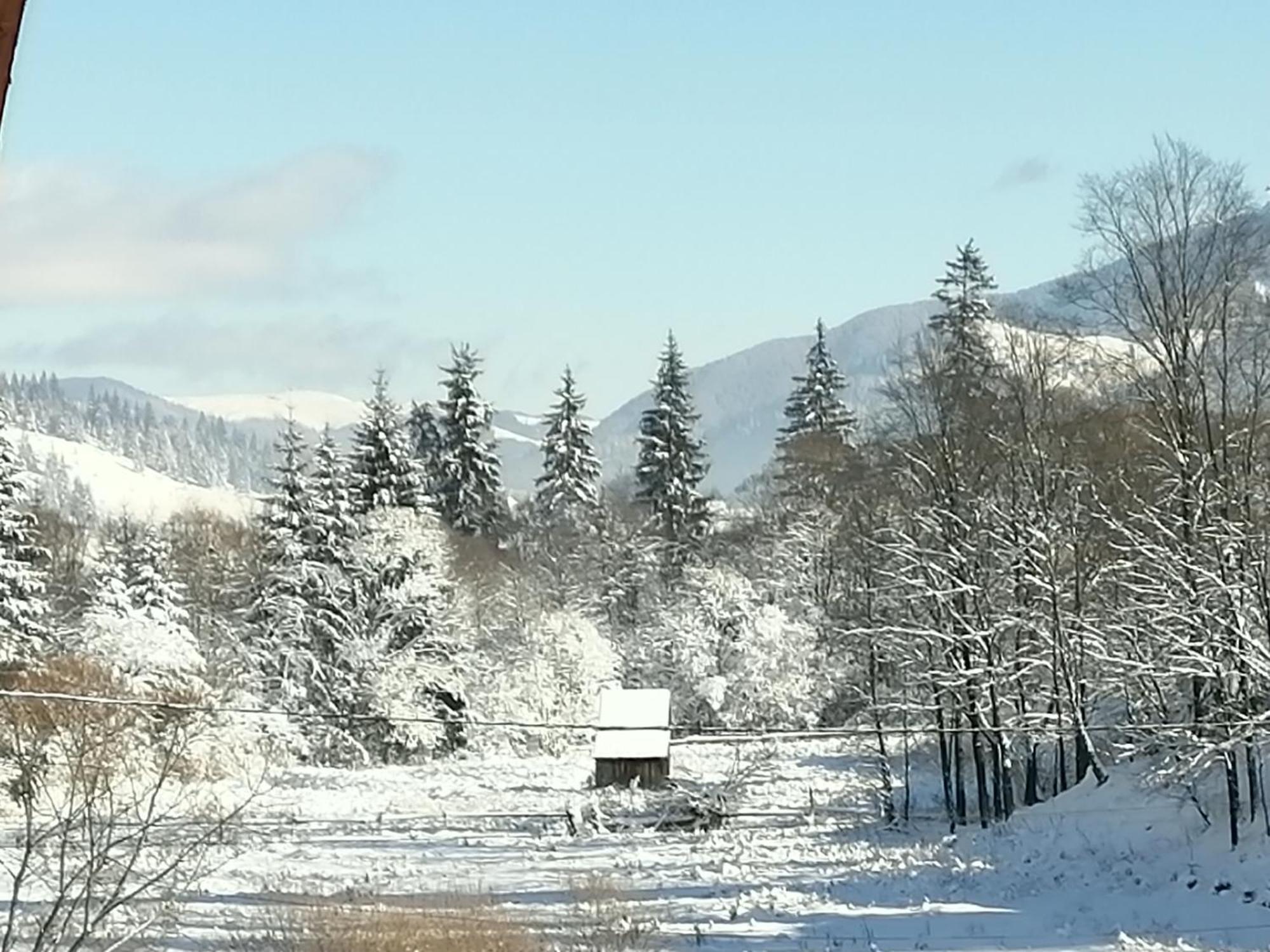 Pensiunea Tora Vatra Dornei Bagian luar foto