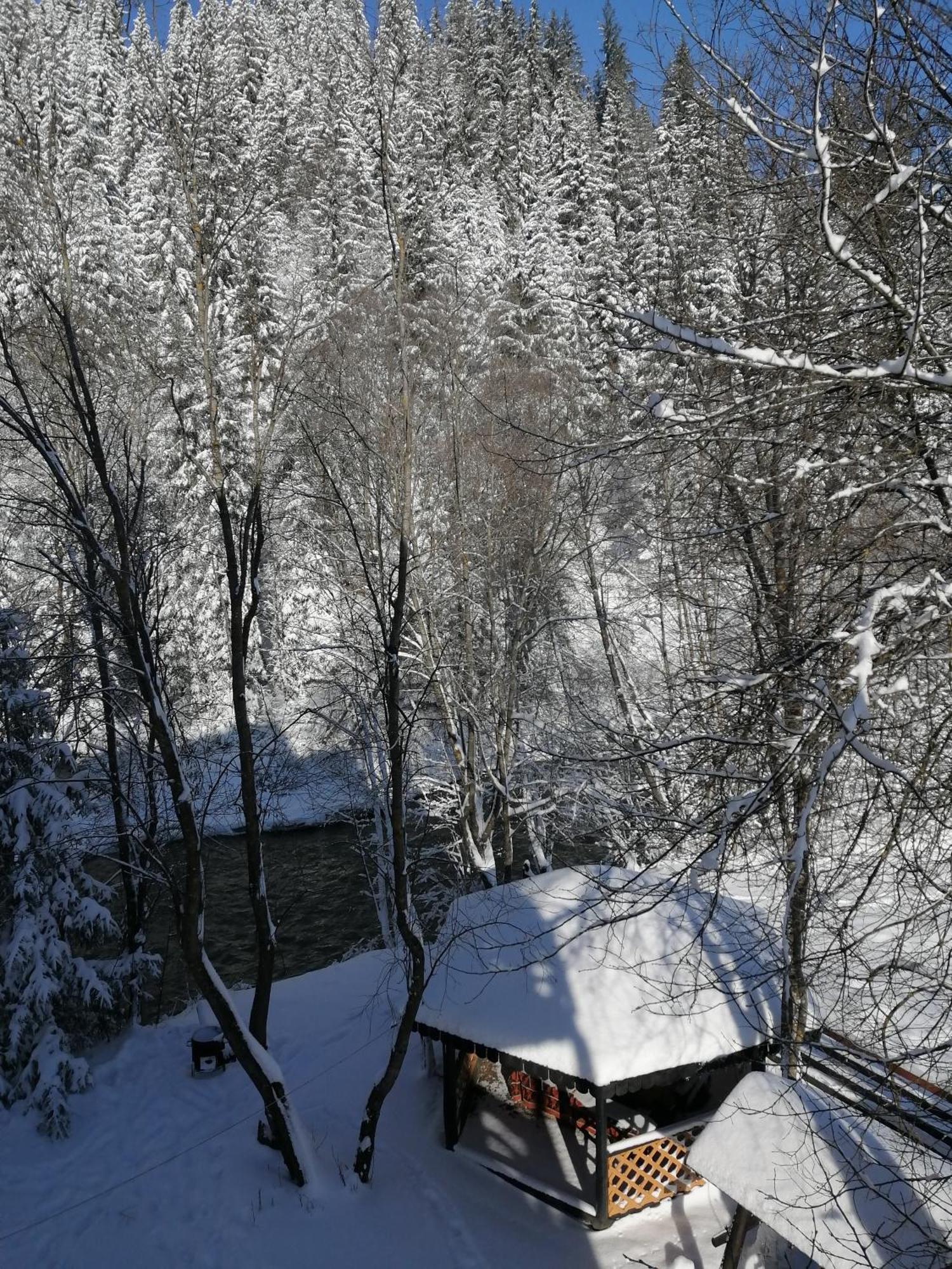 Pensiunea Tora Vatra Dornei Bagian luar foto
