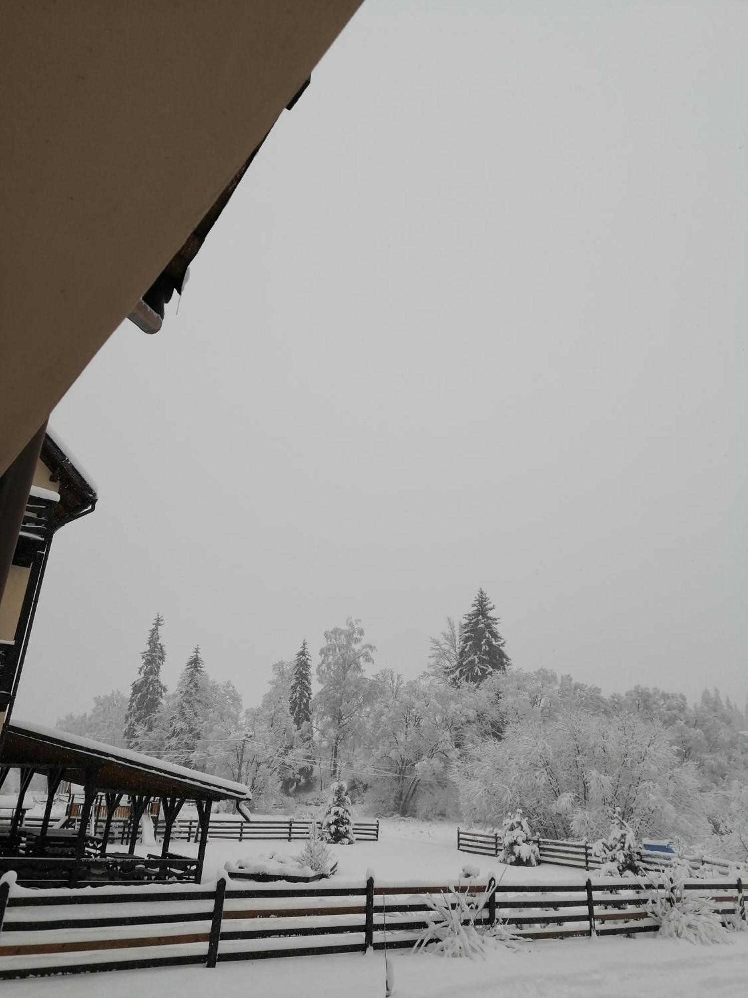 Pensiunea Tora Vatra Dornei Bagian luar foto